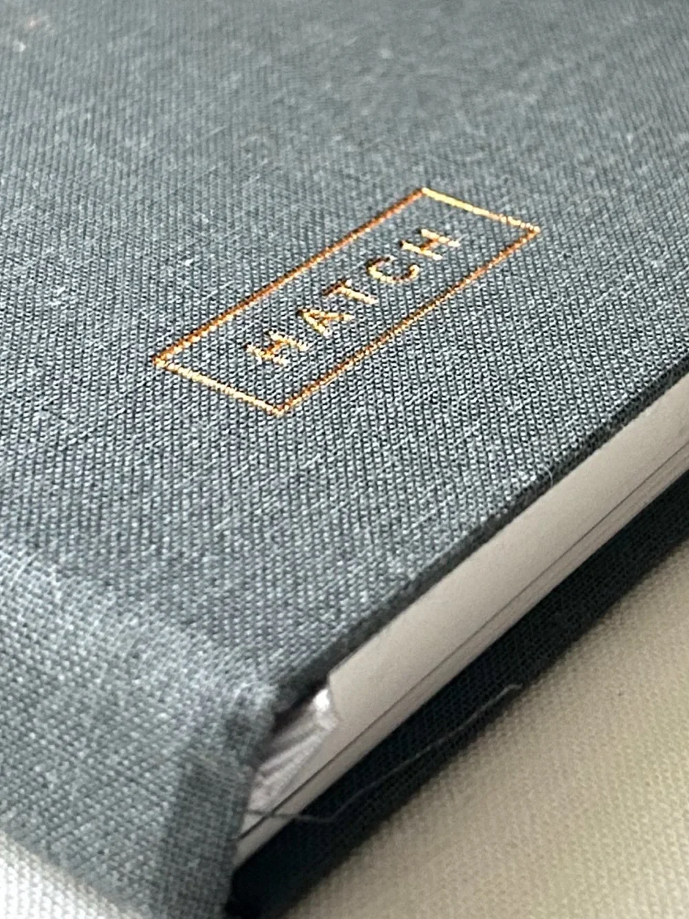 🌴Hatch Notebook for Entrepreneur | Ideas Journal & Project Planner